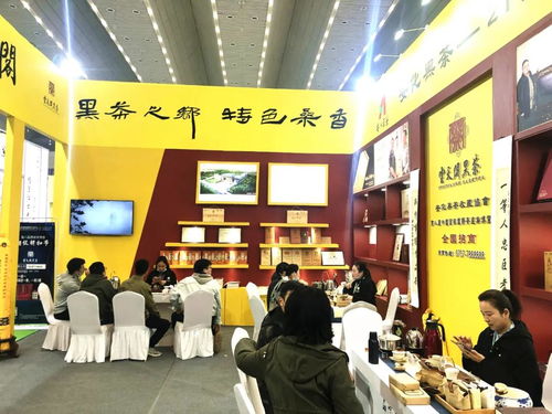 古都长安与天府之国的情缘交响 爱之缘家政的双城故事